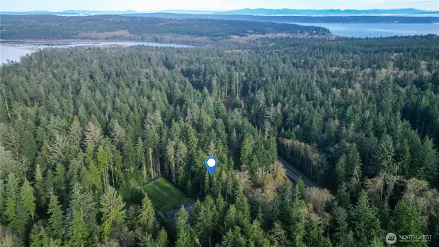 a view of a lush green forest with trees and some houses
