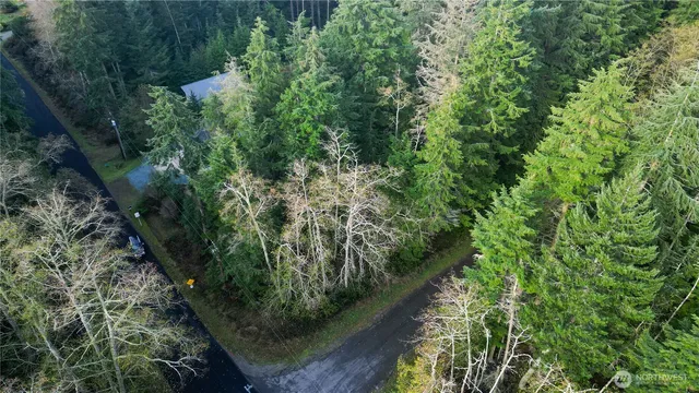 a view of a garden with a plant