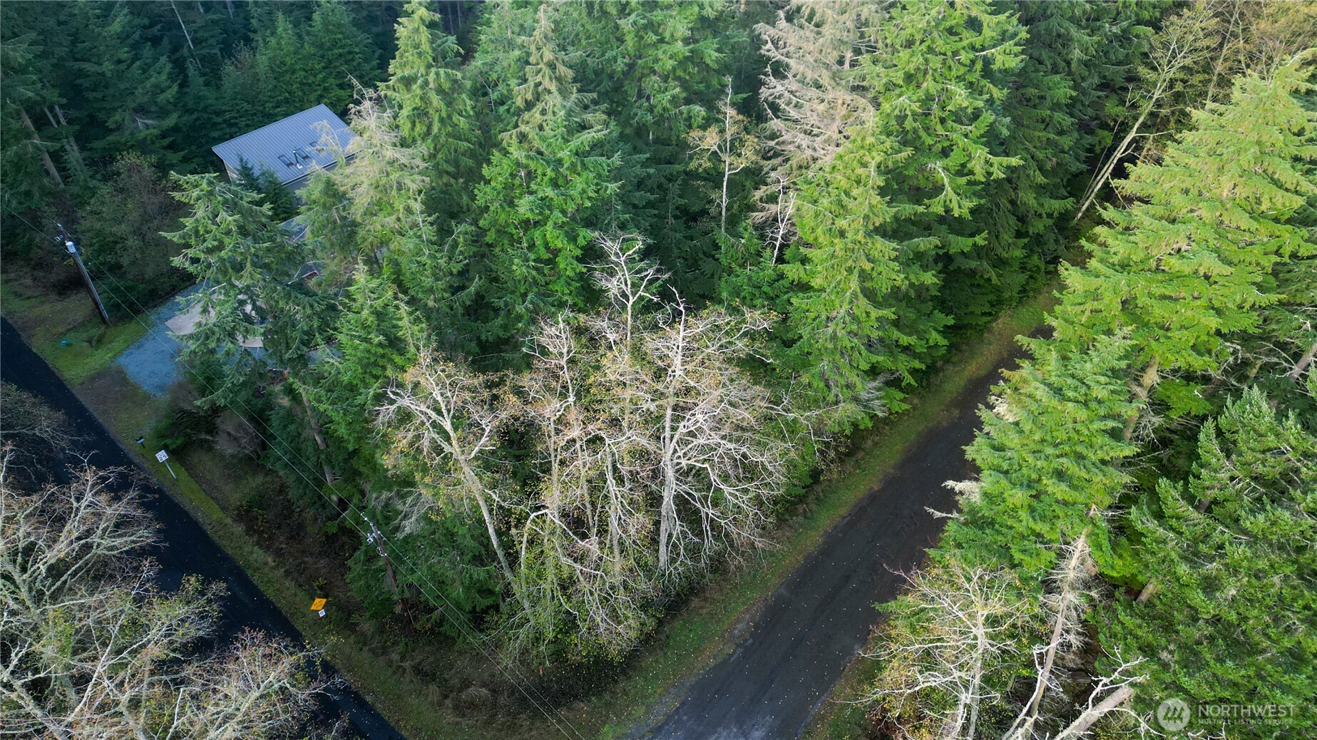 3078 Spahr Road Greenbank, WA 98253 - Photo 5 of 9