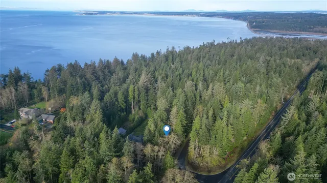 a view of a yard with plants and large trees