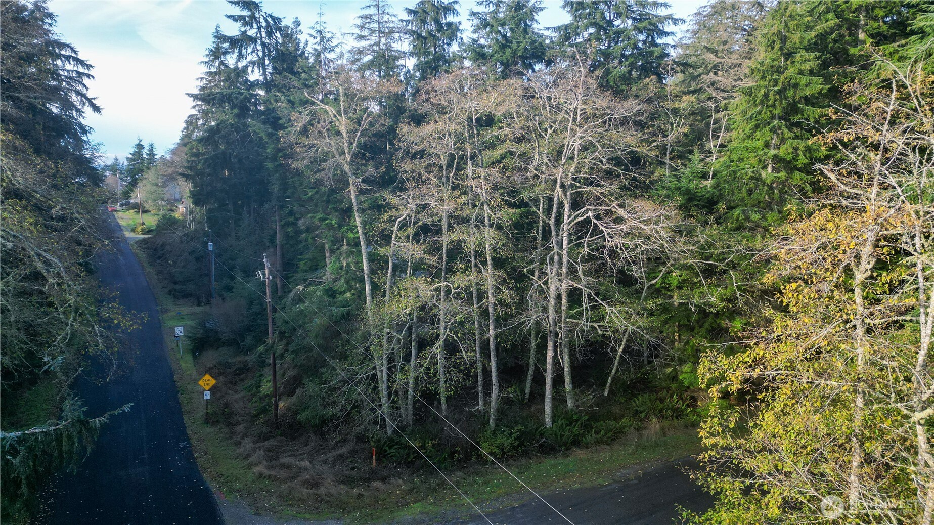 3078 Spahr Road Greenbank, WA 98253 - Photo 9 of 9 a view of a forest