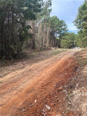 0 East Meade Road Pollock, LA 71467 - Photo 5 of 15 Gallery Image 5