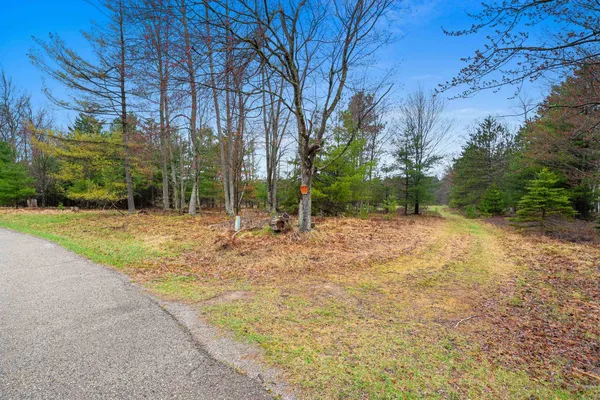 $229,900 | Russ Mainik Road, Wausaukee, WI 54177