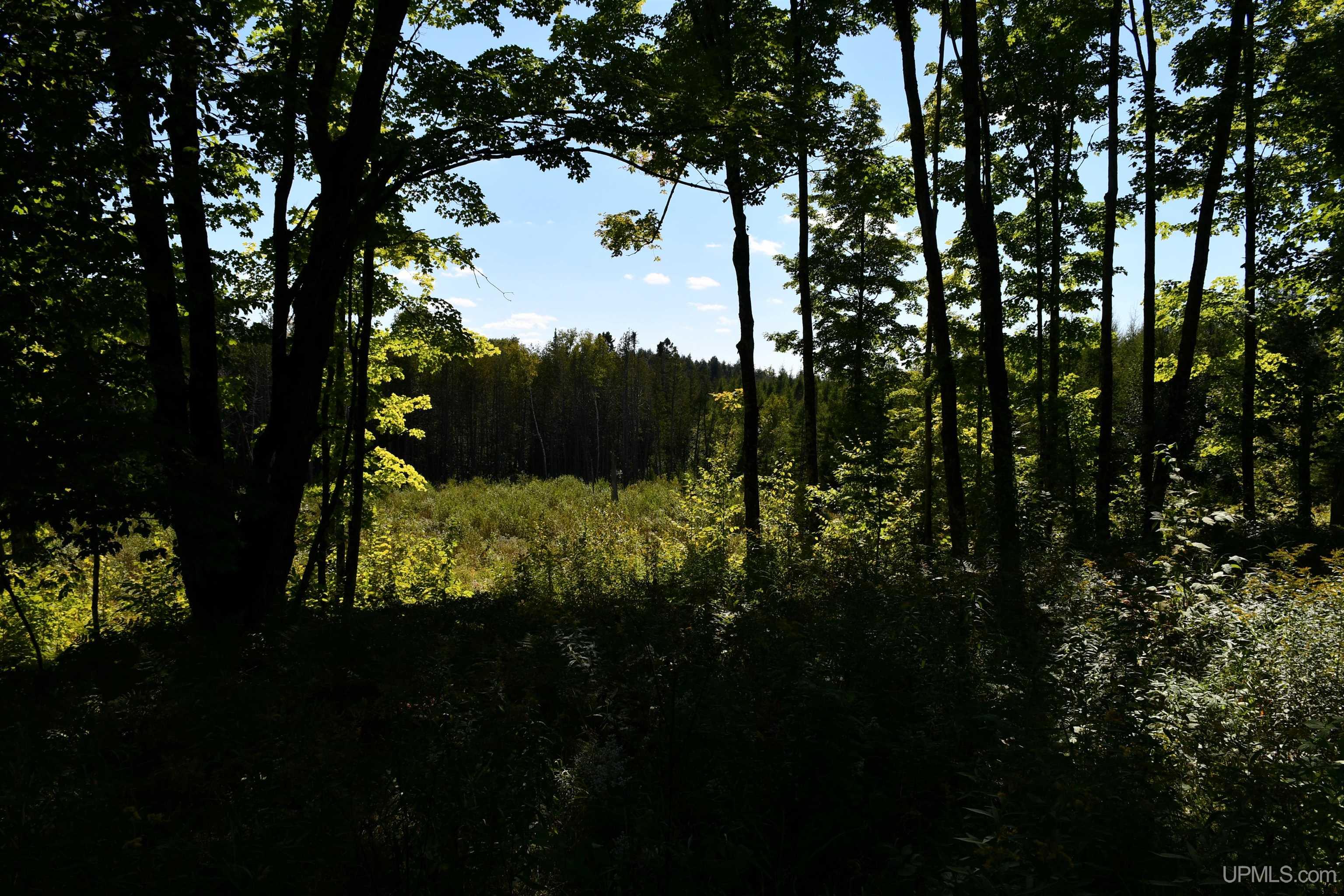 B3189 Off 426 County Road Negaunee, MI 49866 - Photo 3 of 16