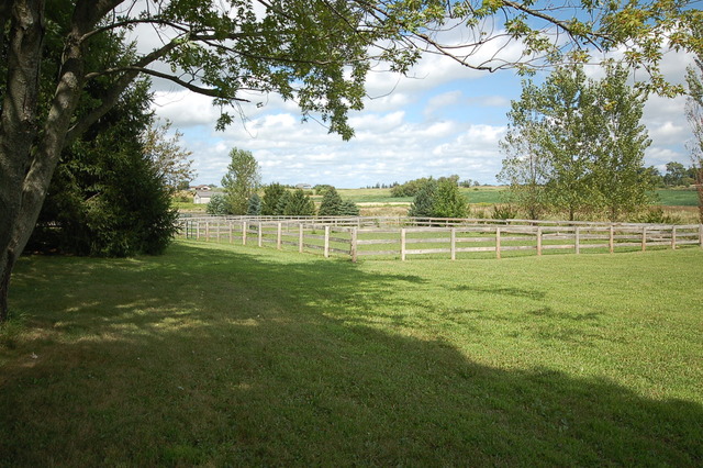 44W482 Ramm Road Maple Park, IL 60151 - Photo 21 of 25 a view of a green field with an trees