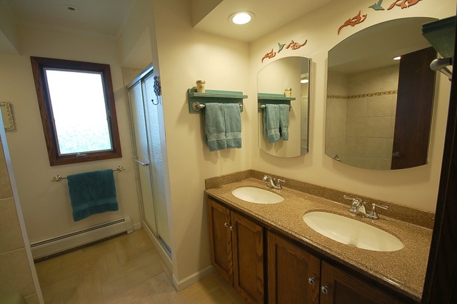 44W482 Ramm Road Maple Park, IL 60151 - Photo 10 of 25 a bathroom with a granite countertop double vanity sink and mirror