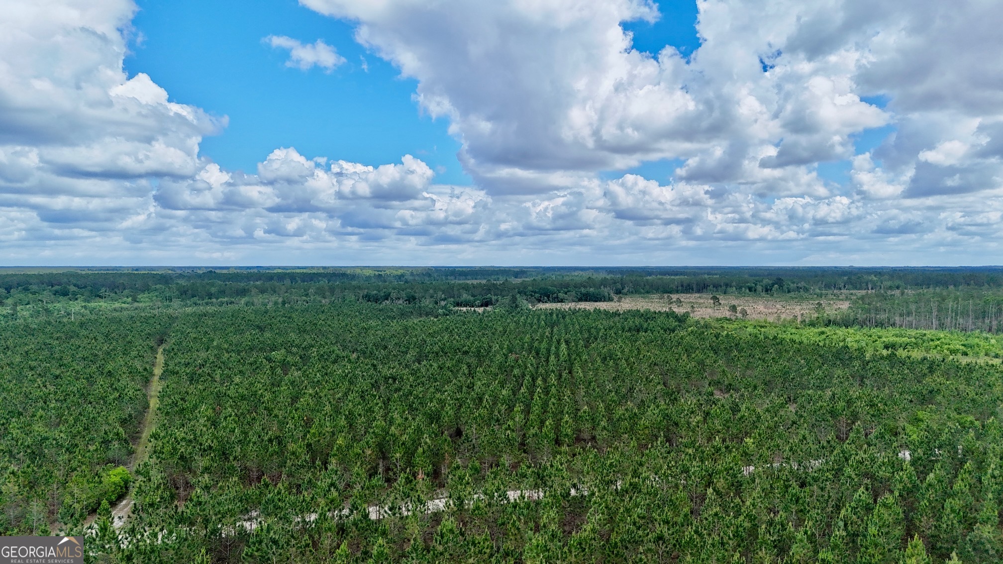 26-ac Owens Road Odum, GA 31555 - Photo 2 of 4