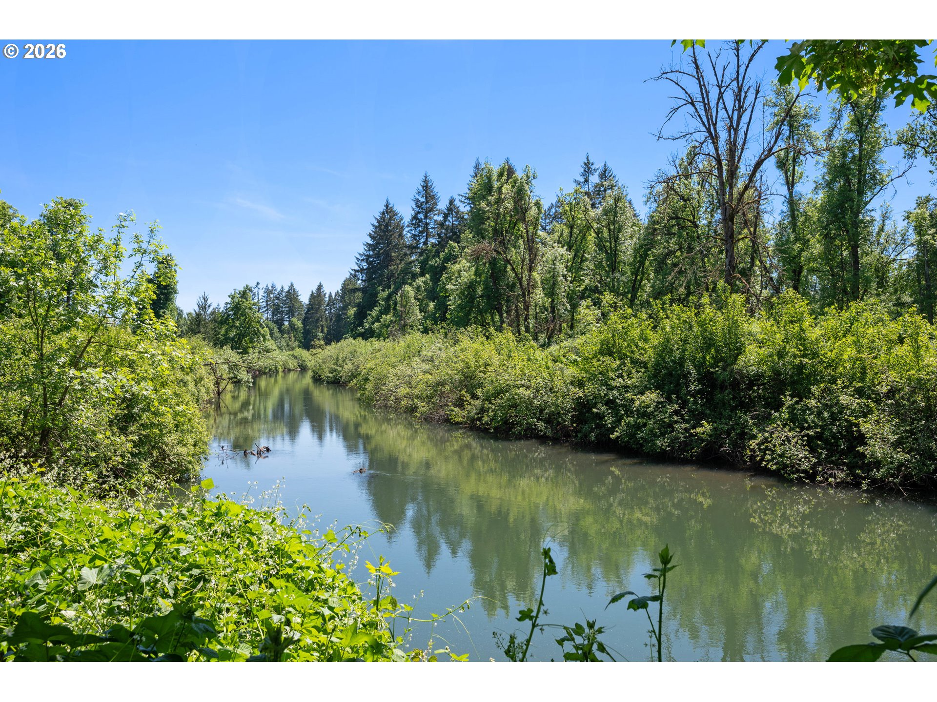 35282 McKenzie View Drive Springfield, OR 97478 - Photo 34 of 48 River Access