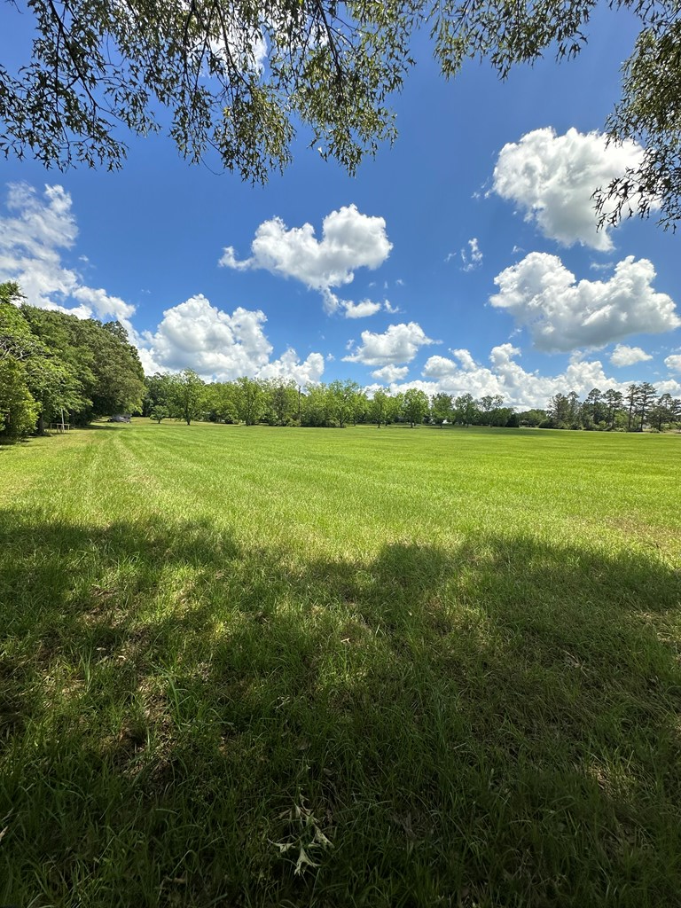 3845 Old Atmore Road Flomaton, AL 36441 - Photo 6 of 9