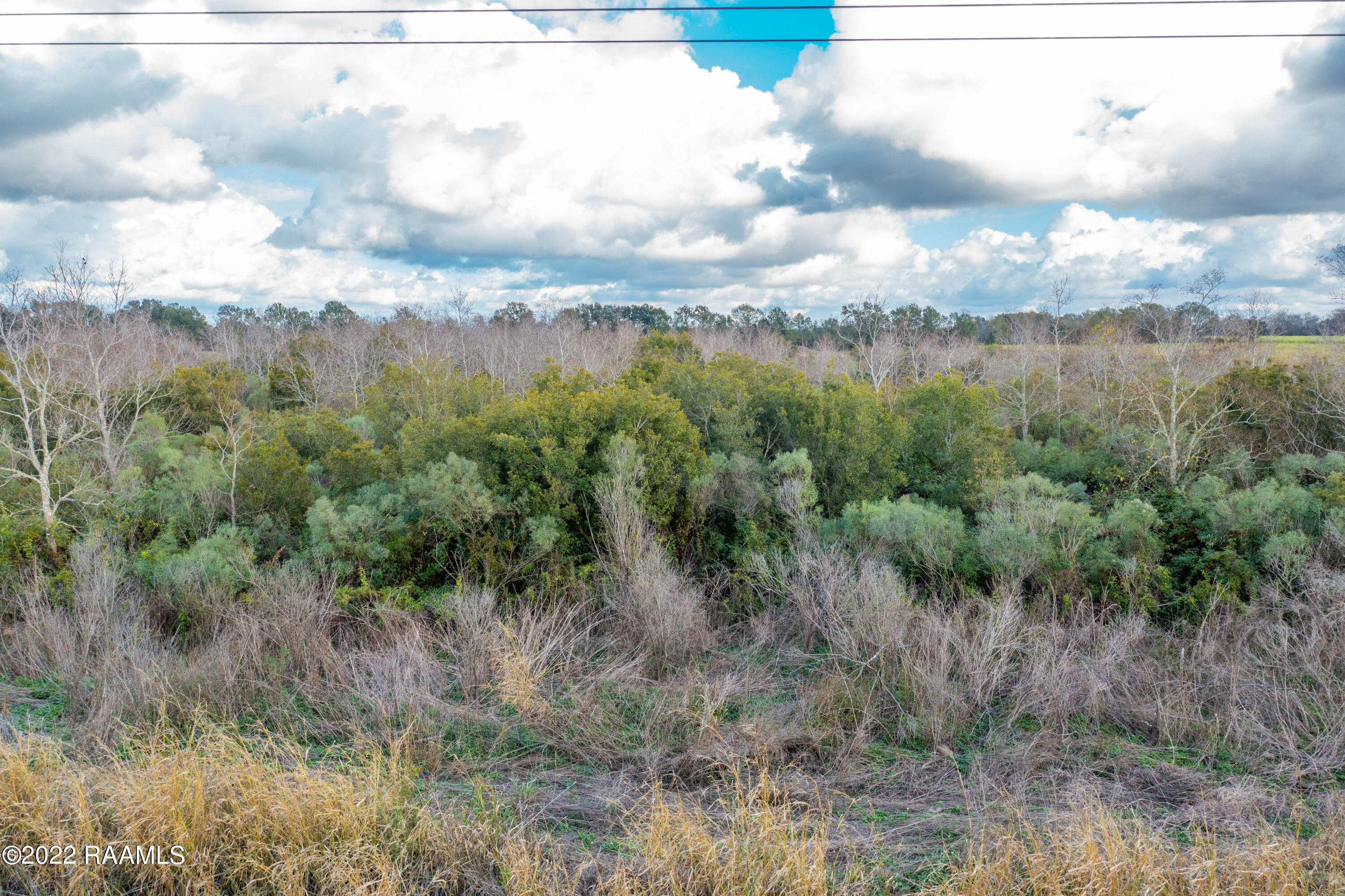 Tbd Tee Robe Road Kaplan, LA 70548 - Photo 9 of 10