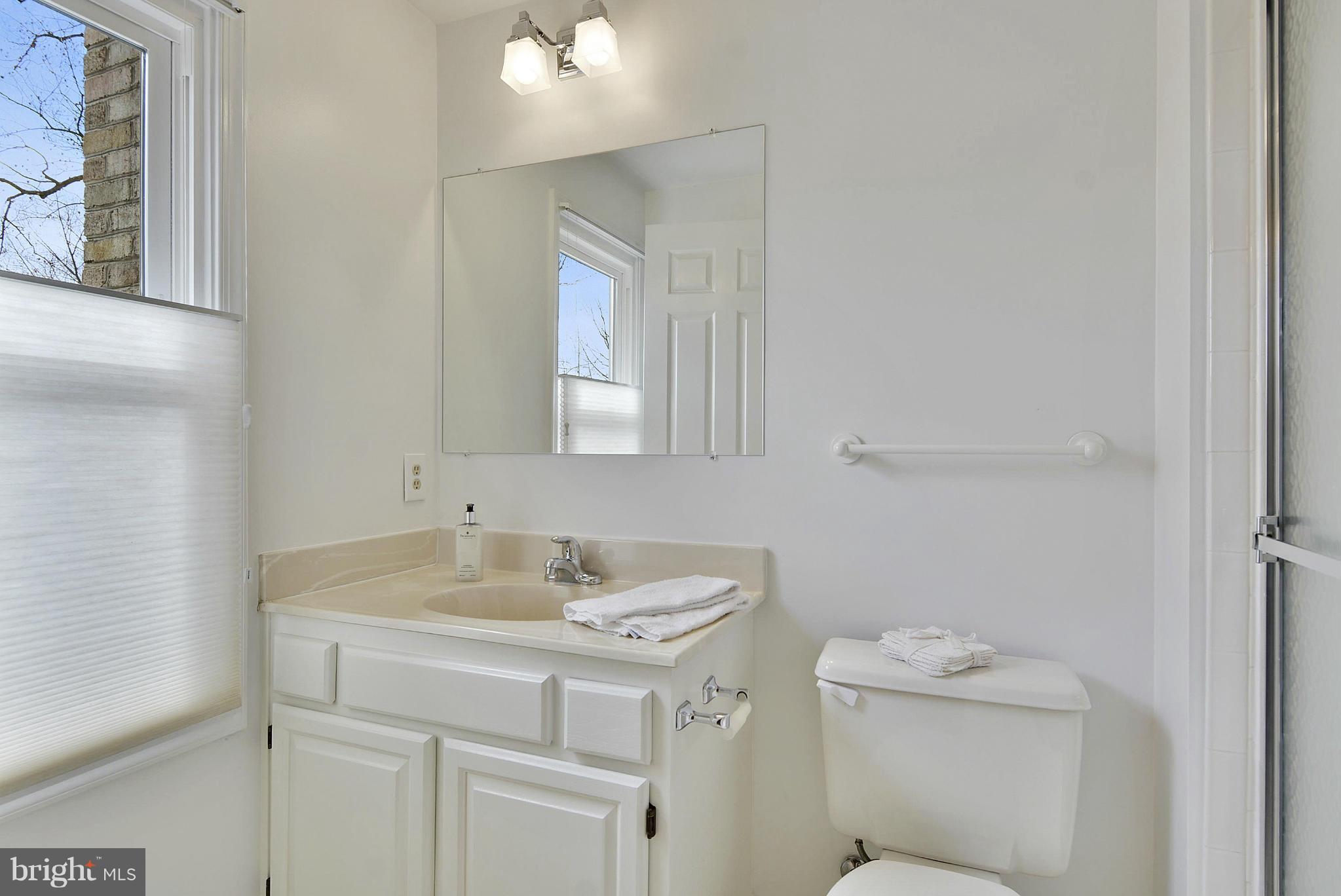 313 Opera Court Silver Spring, MD 20901 - Photo 18 of 28 Bath (Master)