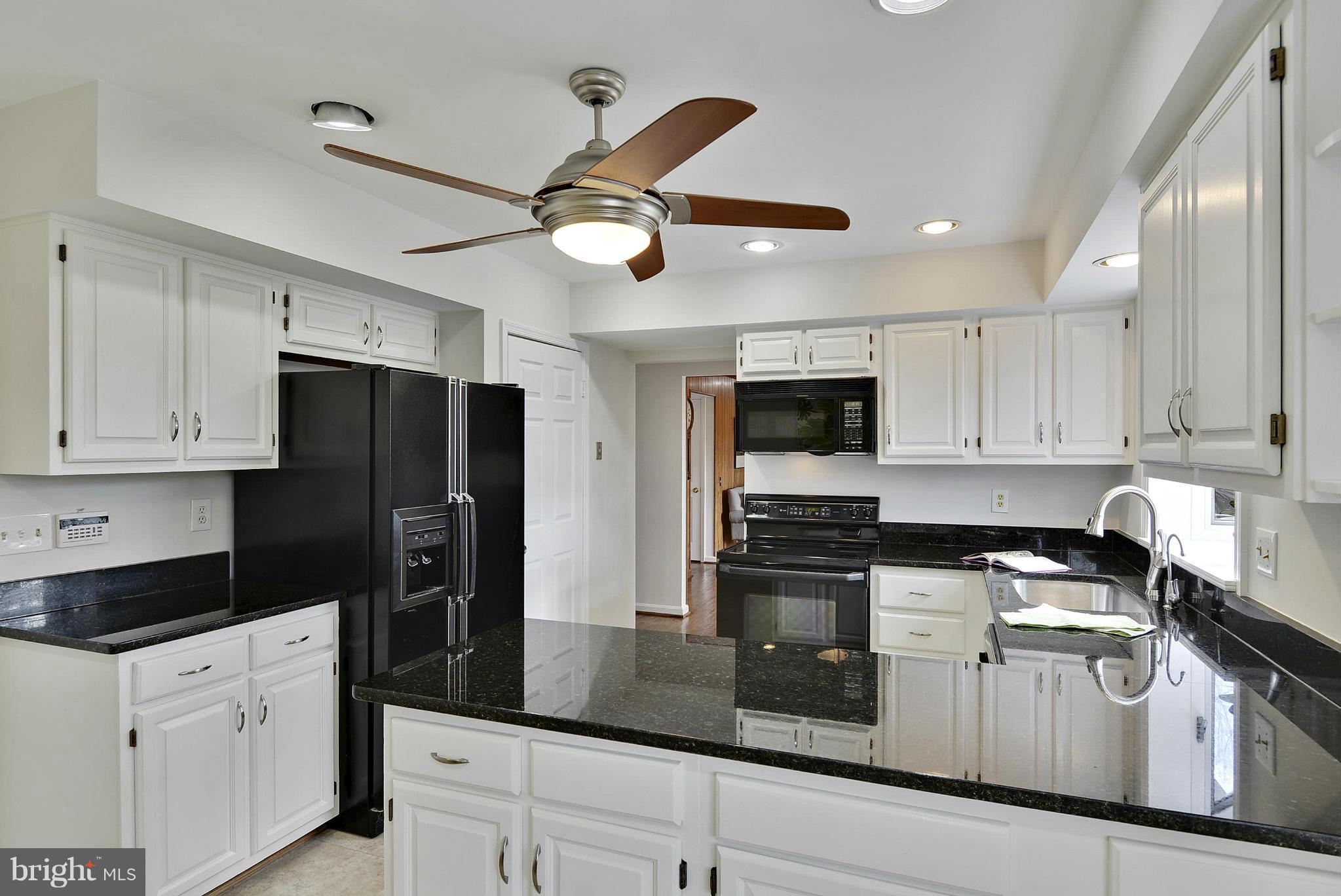 313 Opera Court Silver Spring, MD 20901 - Photo 9 of 28 Kitchen