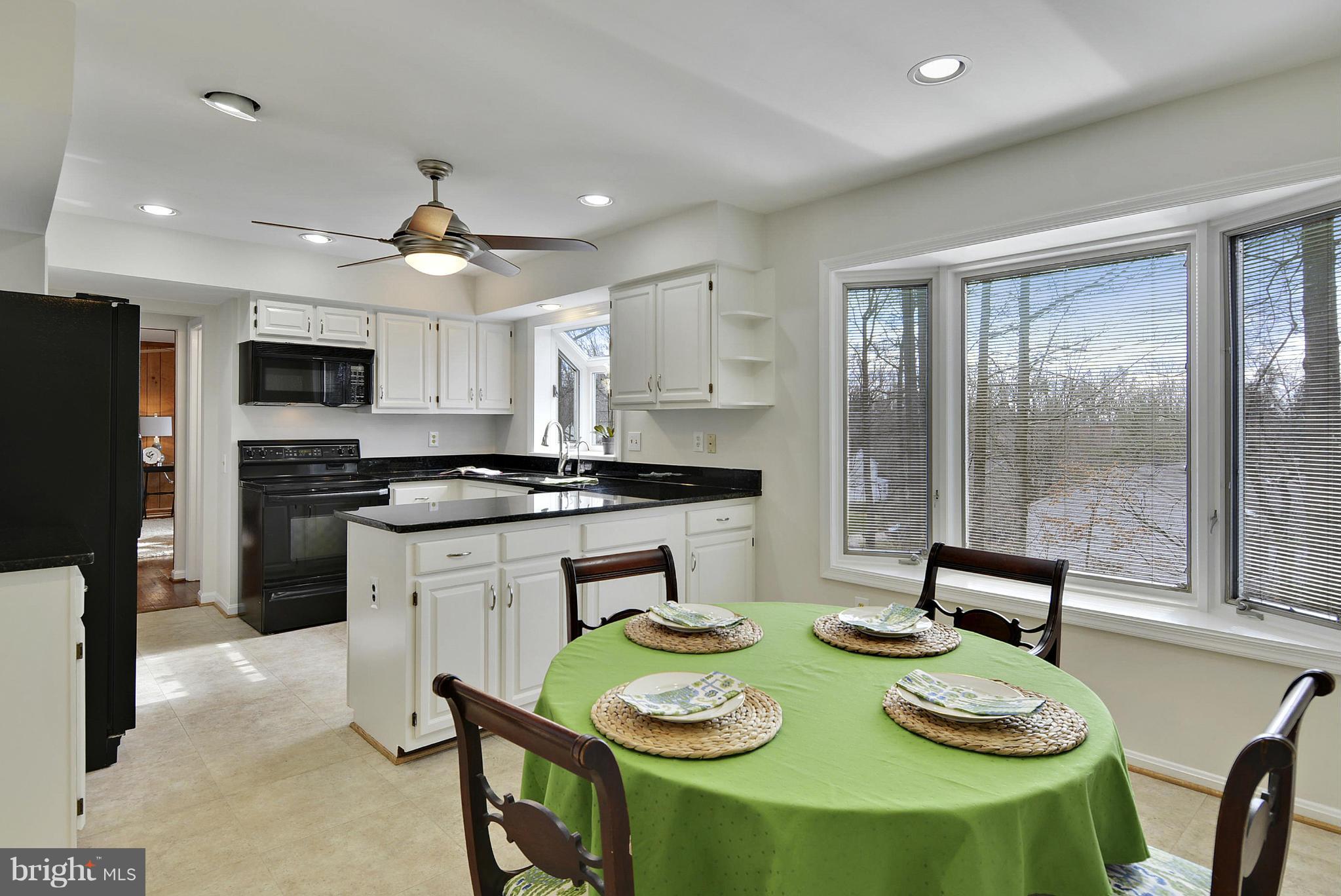 313 Opera Court Silver Spring, MD 20901 - Photo 10 of 28 Interior (General)