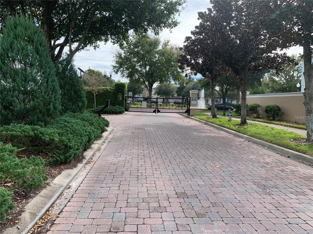 3121 Capri Isle Way Orlando, FL 32835 - Photo 33 of 37 a row of palm trees in front of a house