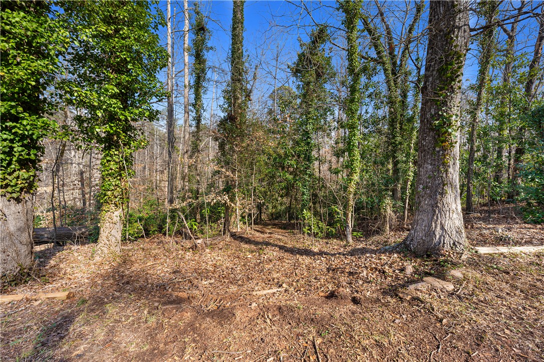 522 Robin Drive Seneca, SC 29678 - Photo 33 of 44