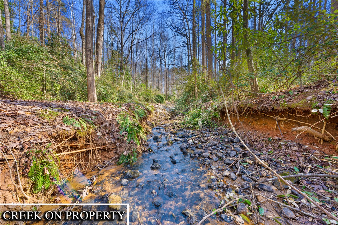 522 Robin Drive Seneca, SC 29678 - Photo 4 of 44