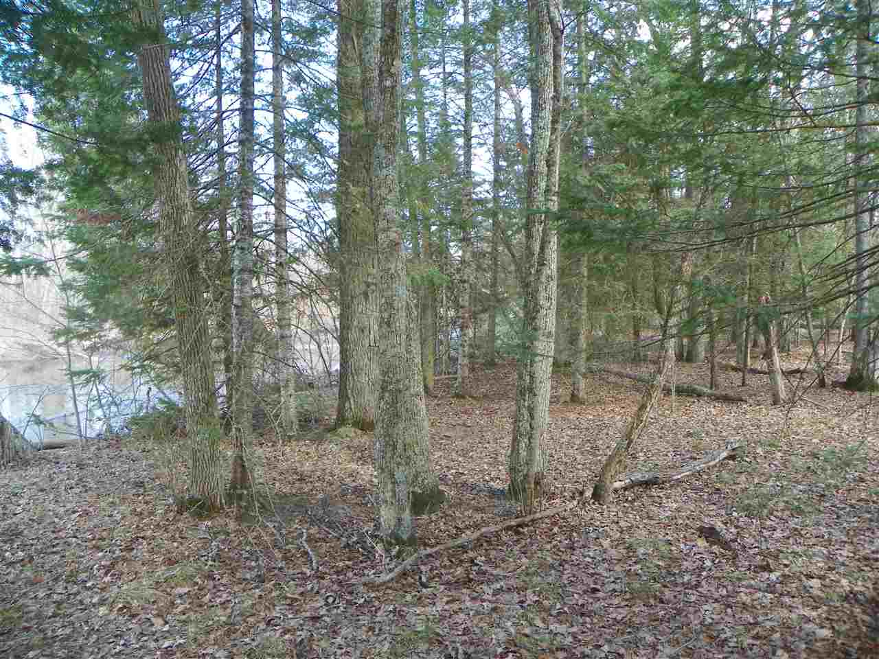 Tbd Tbd Pine Marion, MI 49665 - Photo 18 of 18