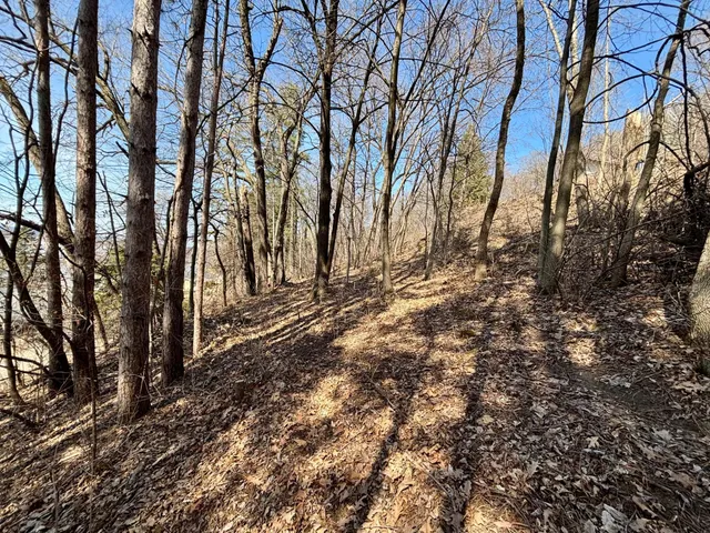 $25,000 | Lot 8-9 Windsong Terrace, Alma, WI 54610