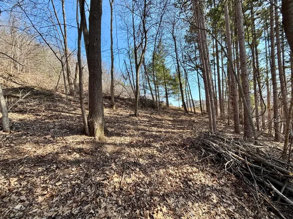 $25,000 | Lot 8-9 Windsong Terrace, Alma, WI 54610