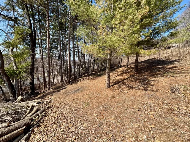 $25,000 | Lot 8-9 Windsong Terrace, Alma, WI 54610