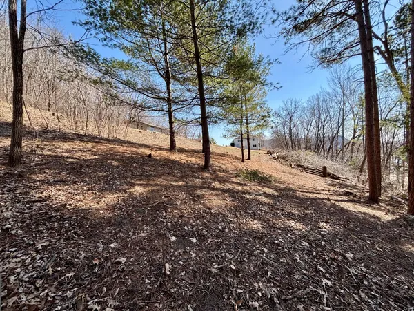 $25,000 | Lot 8-9 Windsong Terrace, Alma, WI 54610