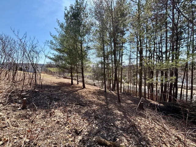 $25,000 | Lot 8-9 Windsong Terrace, Alma, WI 54610