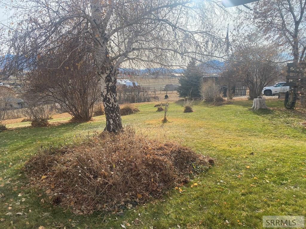 900 Challis Creek Road Challis, ID 83226 - Photo 44 of 56
