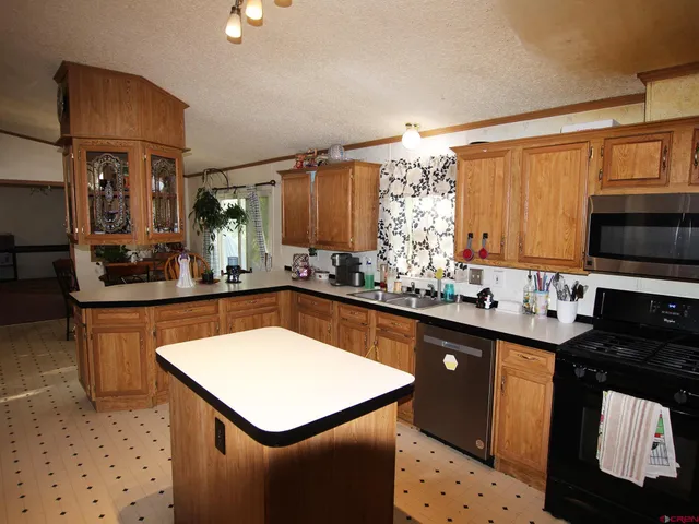 a kitchen with stainless steel appliances a sink stove and refrigerator