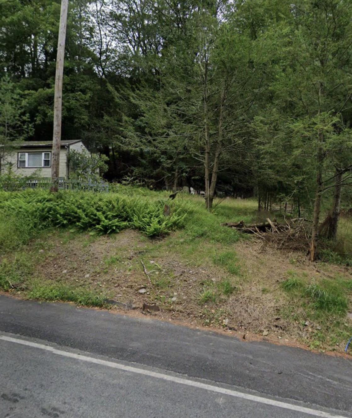 a view of a park with large trees