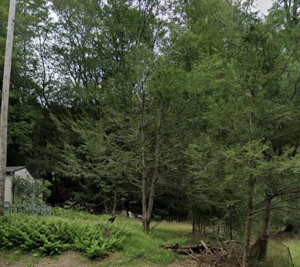 32 Highland Lake Road Eldred, NY 12732 - Photo 2 of 2 a view of a forest with a tree