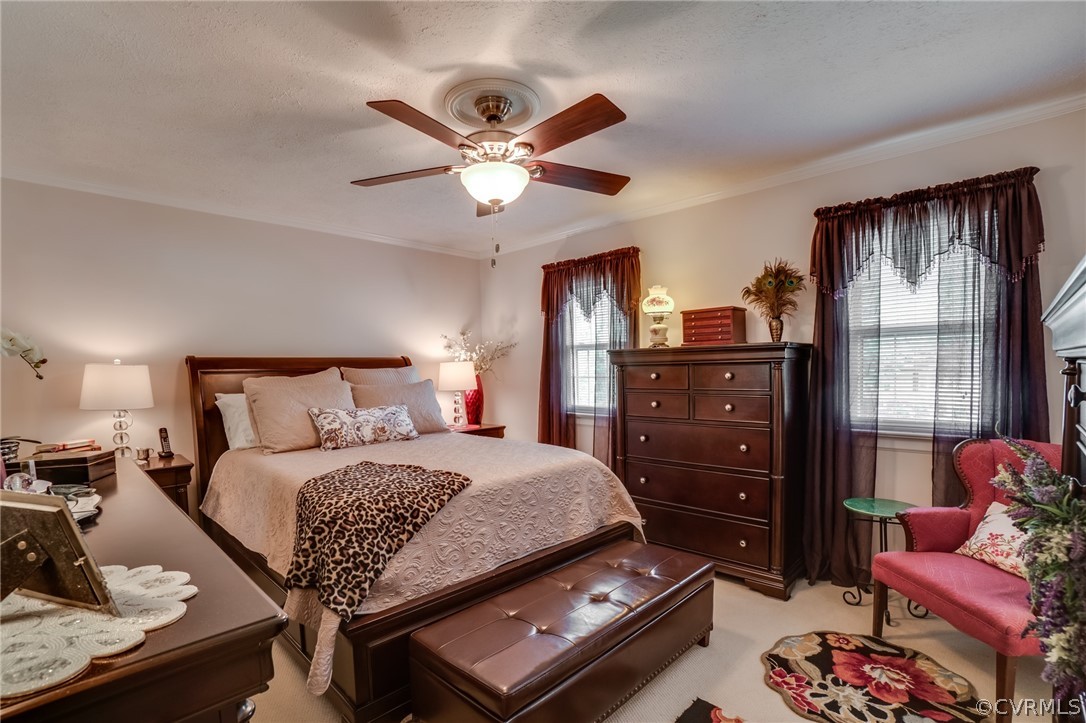 8359 Cadys Mill Road Hanover, VA 23069 - Photo 19 of 43
