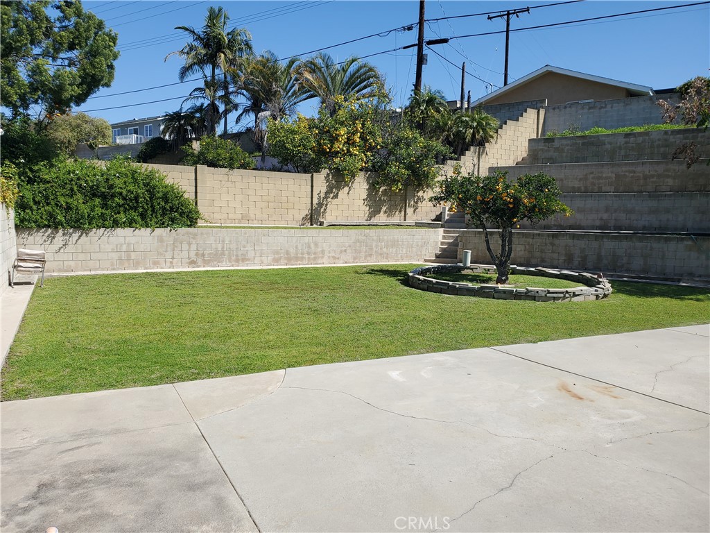 a view of a backyard