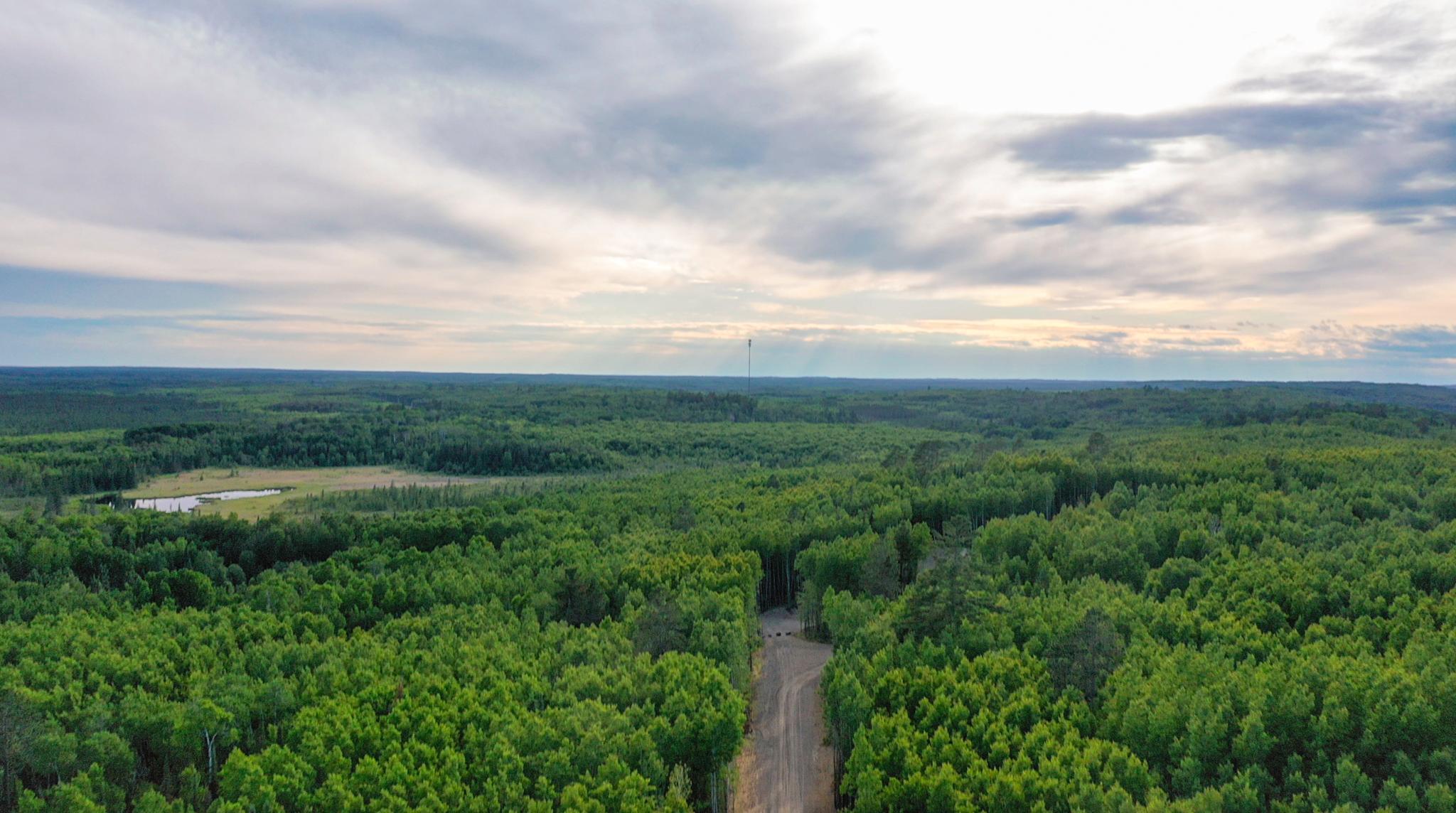 27 Frazer Bay Road Tower, MN 55790 - Photo 7 of 11