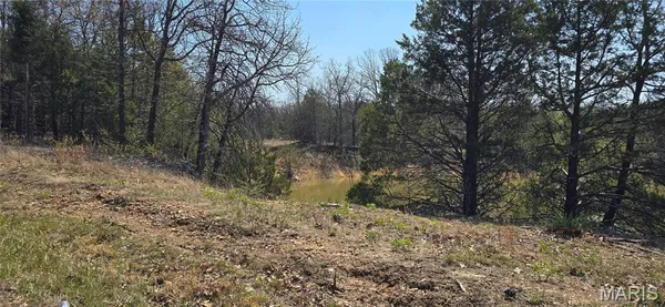 $95,000 | 11050 County Road 2220, Rolla, MO 65401