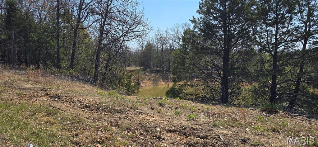 11050 County Road 2220 Rolla, MO 65401 - Photo 1 of 9