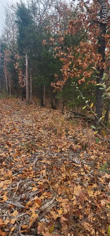 $105,000 | 11050 County Road 2220, Rolla, MO 65401