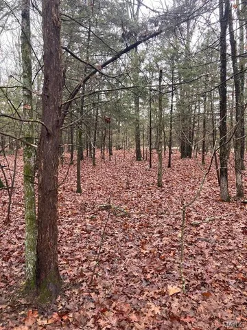 $105,000 | 11050 County Road 2220, Rolla, MO 65401