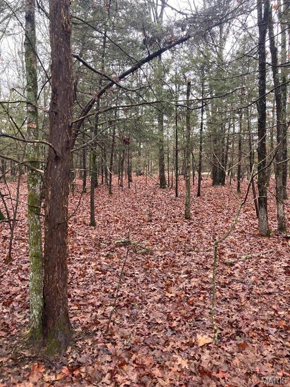 11050 County Road 2220 Rolla, MO 65401 - Photo 13 of 19