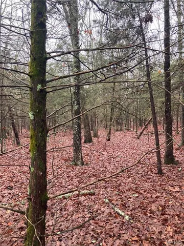 $105,000 | 11050 County Road 2220, Rolla, MO 65401