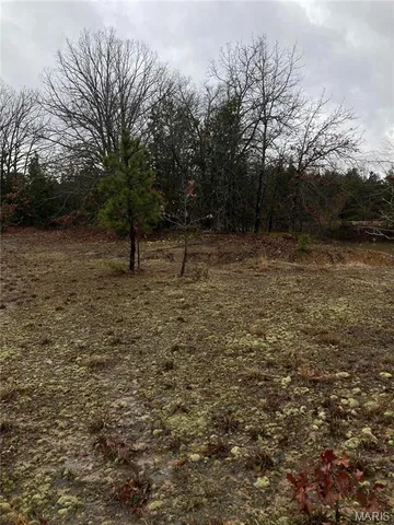 $105,000 | 11050 County Road 2220, Rolla, MO 65401