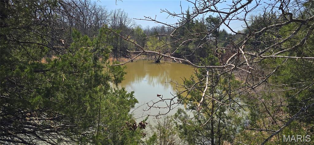 11050 County Road 2220 Rolla, MO 65401 - Photo 2 of 9