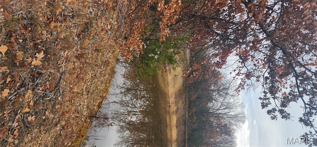 11050 County Road 2220 Rolla, MO 65401 - Photo 2 of 19