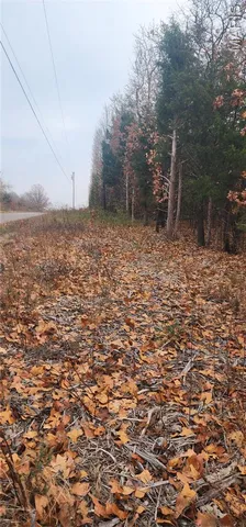 $105,000 | 11050 County Road 2220, Rolla, MO 65401