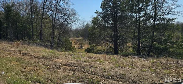 $95,000 | 11050 County Road 2220, Rolla, MO 65401