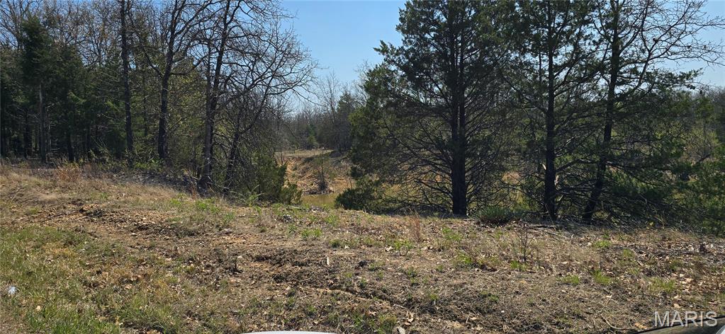 11050 County Road 2220 Rolla, MO 65401 - Photo 3 of 9
