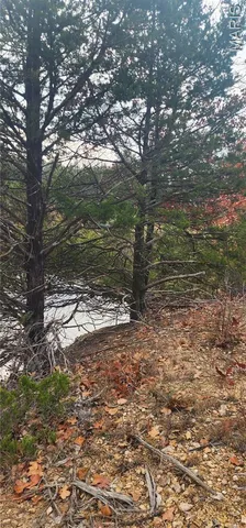 $105,000 | 11050 County Road 2220, Rolla, MO 65401