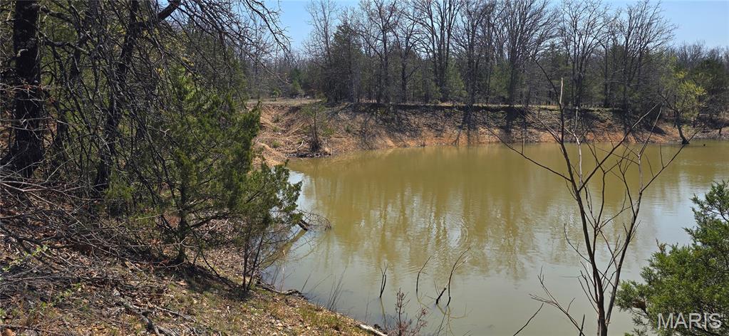 11050 County Road 2220 Rolla, MO 65401 - Photo 5 of 9