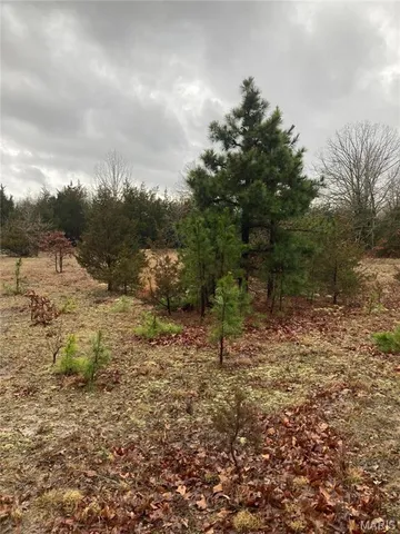 $105,000 | 11050 County Road 2220, Rolla, MO 65401