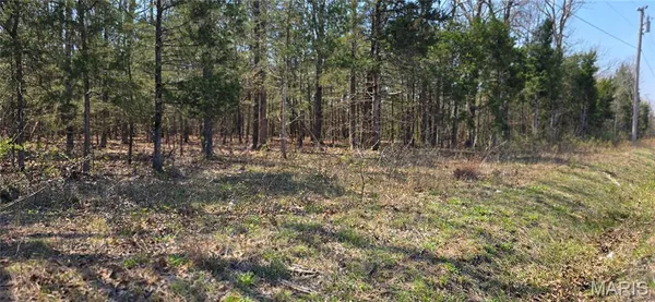 $95,000 | 11050 County Road 2220, Rolla, MO 65401