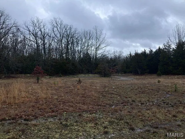 $105,000 | 11050 County Road 2220, Rolla, MO 65401